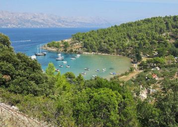 Robinson House Romatica