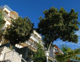 Studio Appartamento STUDIO 2