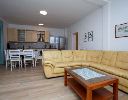 Apartment Urska