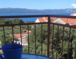 Apartment Bernardica