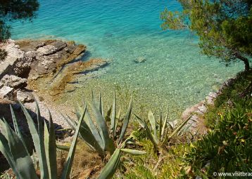 Uvala Lučice, Slavinjina