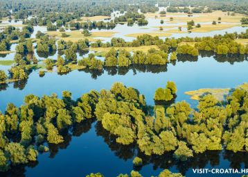 Kopački rit Parco naturale