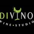 Wine studio Divino