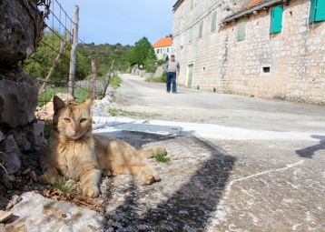 A Gourmet Tour of Brač