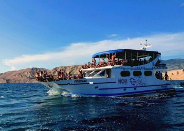 FestiniLine Excursion